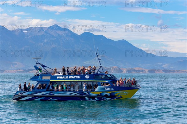 Whale watch boat in front of Kaikoura and the Kaikoura Range with Mt. Saunders