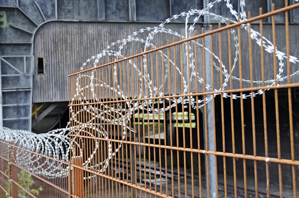 Barbed wire