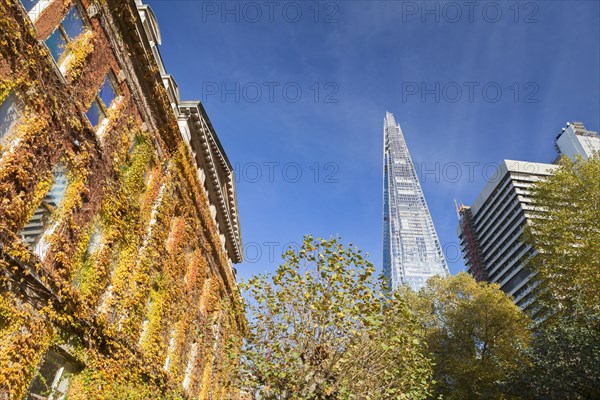 The Shard as seen from the grounds of King's College campus