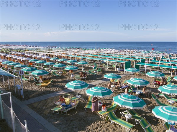 Rows of sunshades on the beach
