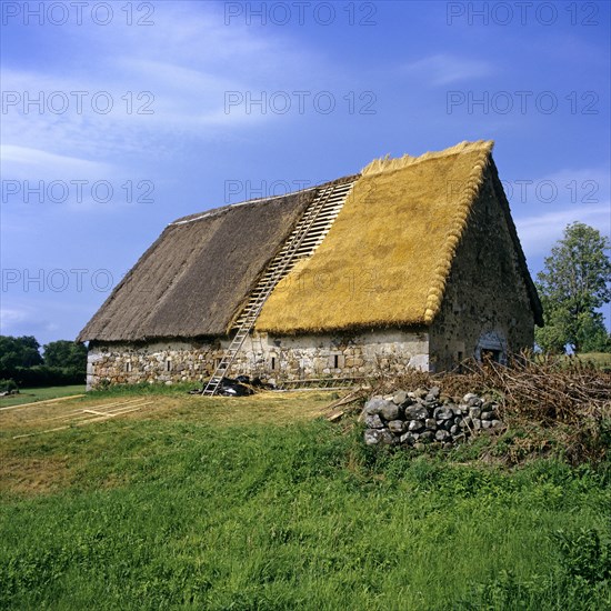Renovation of a thatched roof