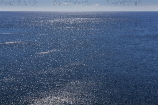 Mediterranean