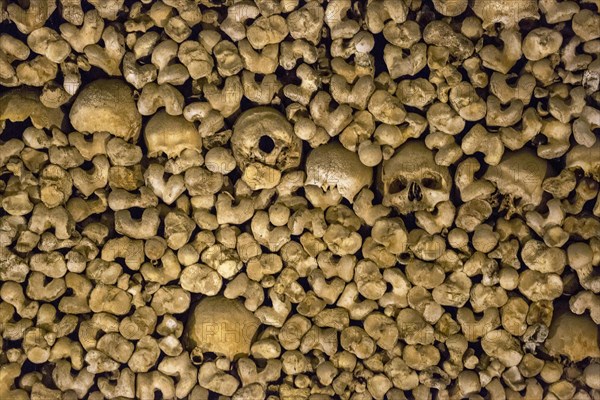 Stacked bones and skulls in the ossuary