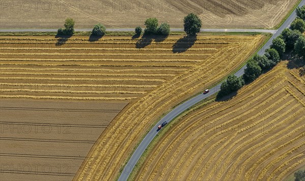 Harvested fields