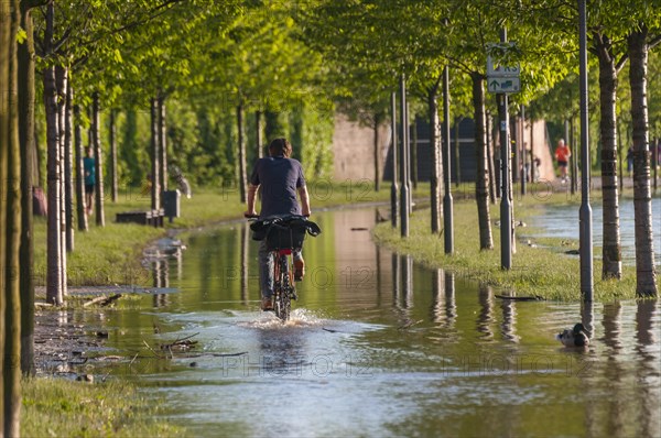 Cyclist on the flooded promenade of the Main River