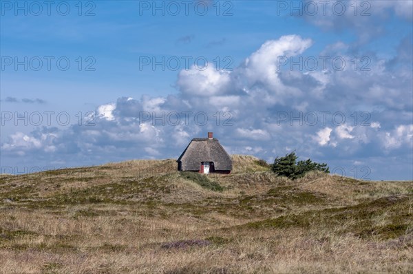 Thatched holiday cottage in dune landscape