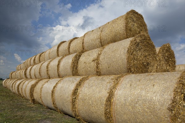 Bales of straw