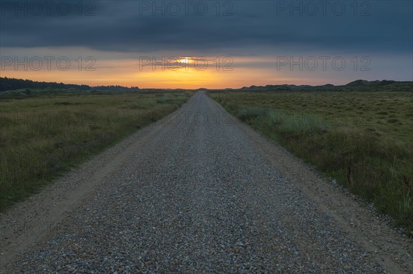 Morning mood over a gravel road through heathland