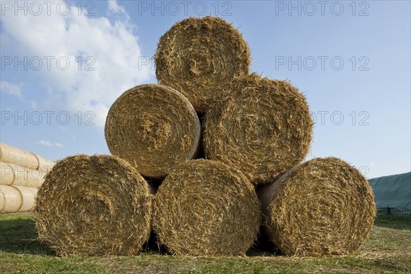 Bales of straw