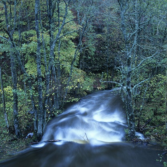 River on plateau of Cezallier