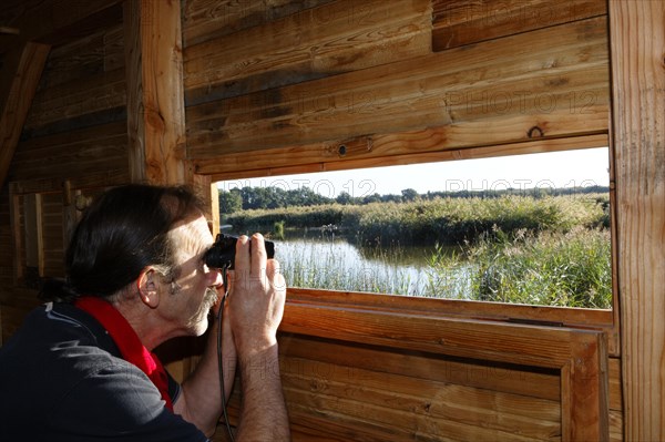 Bird watcher in bird watching hut