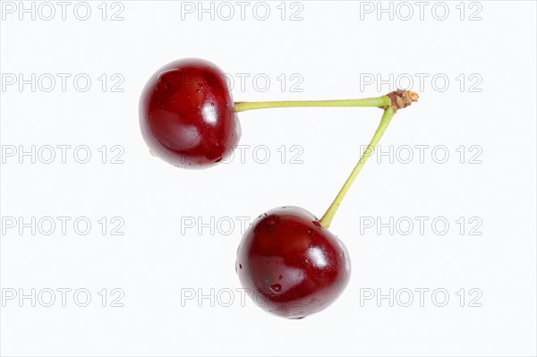 Cherries (Prunus avium)