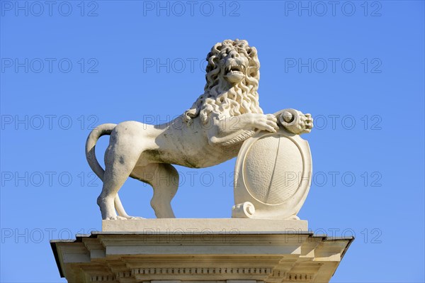 Lion sculpture