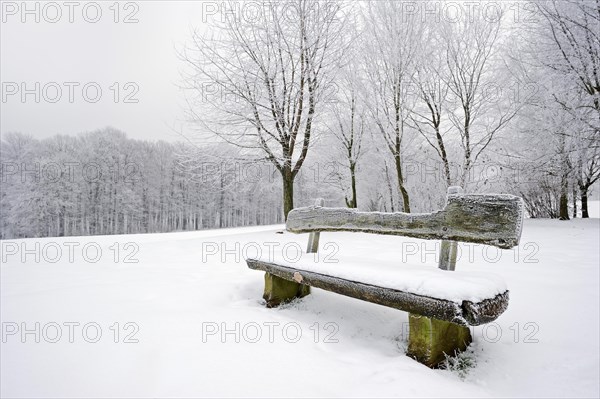 Bench in the snow