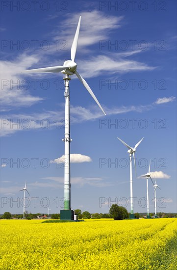 Wind turbines and rape field