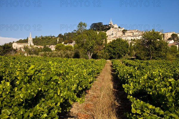 Townscape of Bonnieux