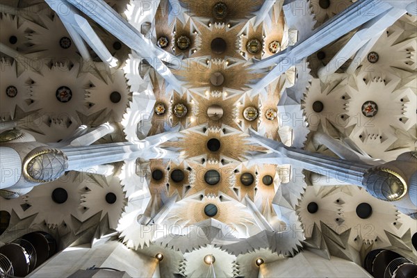 Ceiling of the Sagrada Familia