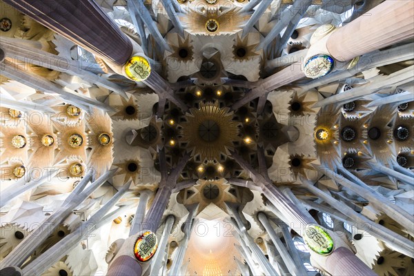 Ceiling of the Sagrada Familia