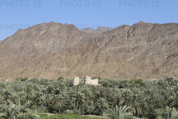 Bithnah Oasis with the Old Fort