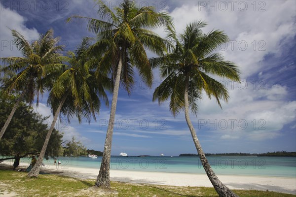 White South Seas sand beach with turquoise blue water and palm trees