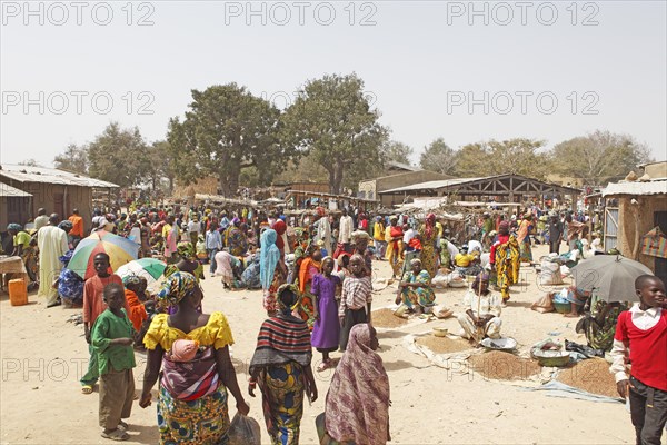 Market scene