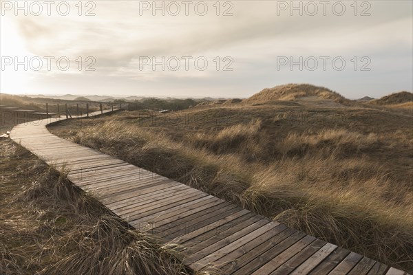 Boardwalk through Amrum Dunes Nature Reserve