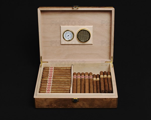 Cigar humidor