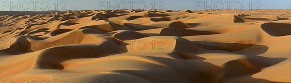 Sand dunes in the morning light