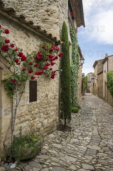 Medieval alley