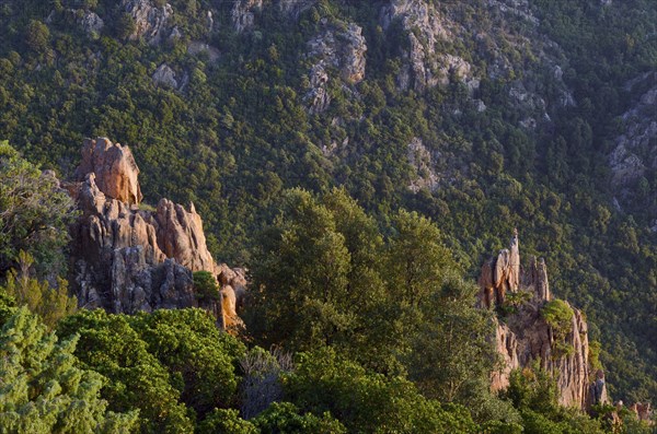 The typical bizarre red rocks of the Calanche of Pianasurrounded by green scrub. The Calanche of Piana is in the western part of the island Corsica