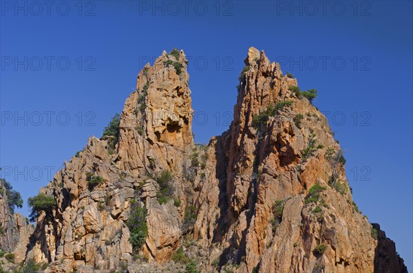 The typical bizarre red rocks of the Calanche of Piana below a blue sky. The Calanche of Piana is in the western part of the island Corsica