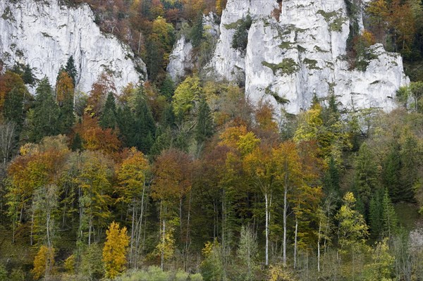 Upper Danube Valley near Gutenstein