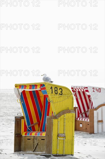 Colourful roofed wicker beach chairs on the beach with a seagull on a roof