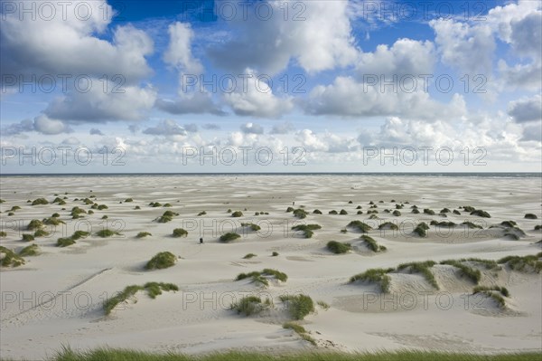 Dunes and beach