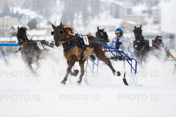 Horse racing on a frozen lake