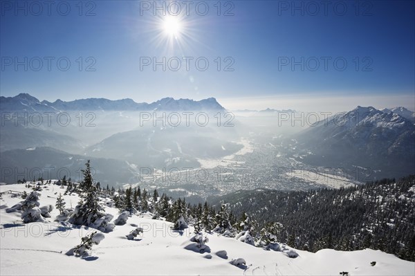 Winter landscape with snow-covered fir trees and the sun