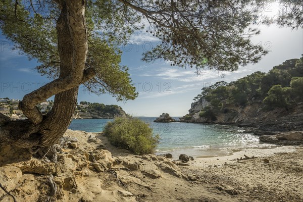 Bay with rocks