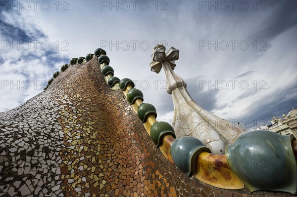 Roof and chimney