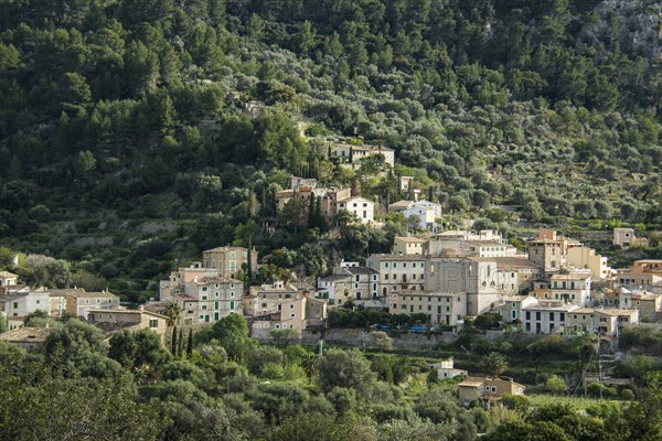 Mountain village