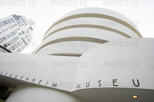 Guggenheim Museum