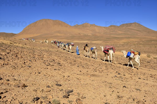 Tuareg men with a camel caravan at Atakor