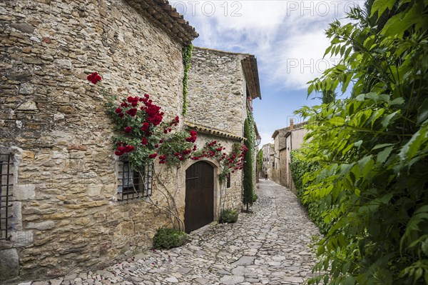 Medieval alley