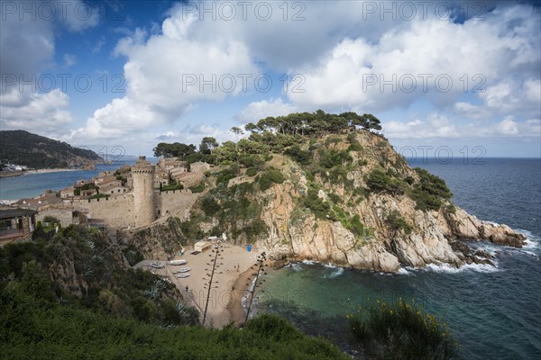 Town and castle by the sea