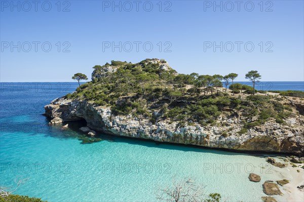 Bay with a sandy beach and pine trees