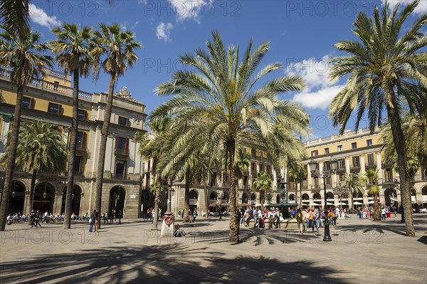 Placa Reial