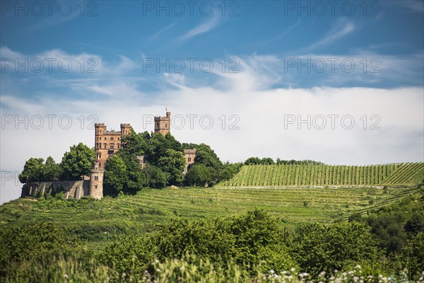 Ortenberg Castle youth hostel