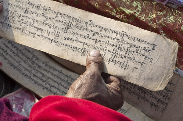 Tibetean monk reading the holy scriptures in Tibetan language