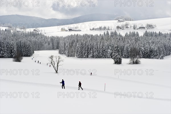 Snow-covered winter landscape with cross-country skiers