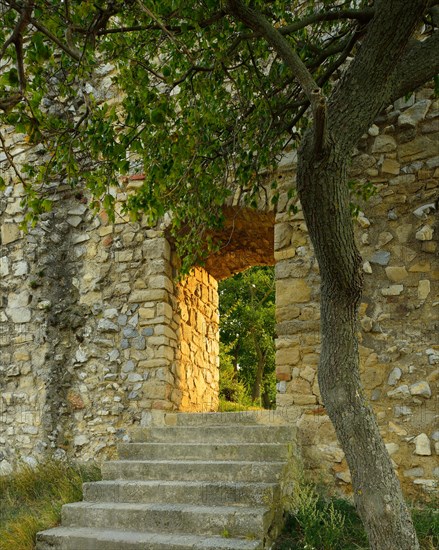 Side entrance to the castle ruins on Schlossberg mountain