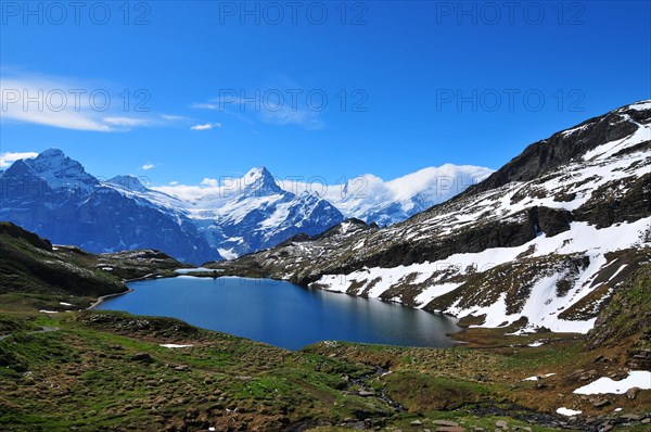 Schreckhorn mountain seen across Bachalpsee lake